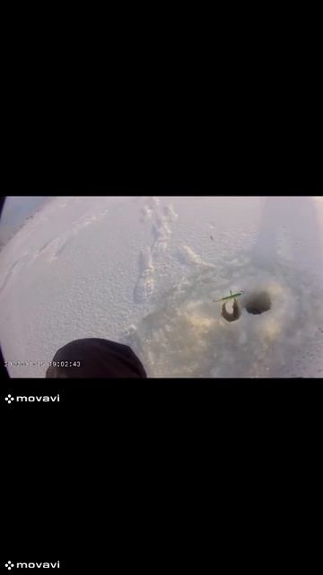 Рыбалка в -21 #первыйлед #рыбалка #рыбалканажерлицы #рыб смотреть онлайн