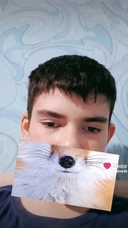 маска в лайке