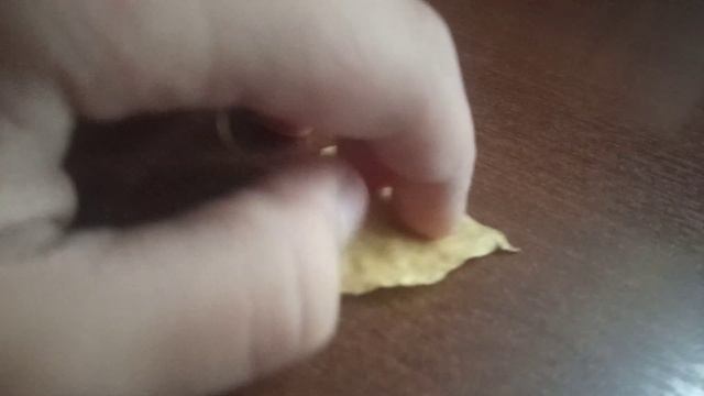 Обзор на лист дерева смотреть онлайн