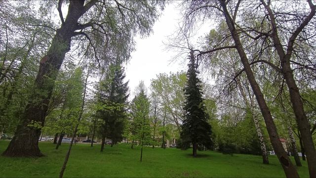 city, 🏙️🌃🖼️SKETHES, spring,PARK, 🏞️🌄🏞️,ГОРОДСКИЕ, зарисовки, весна ЦВЕТЕНИЕ цветы яблони