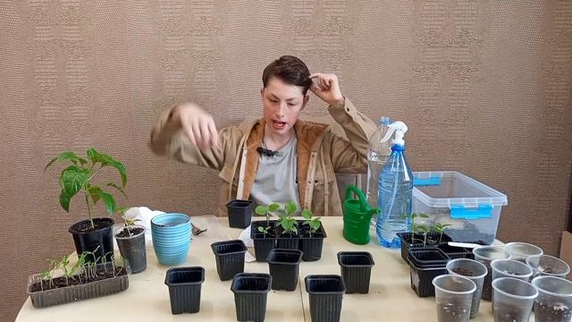 🍆ПЕРЕСАДИ БАКЛАЖАН ТАК! смотреть онлайн