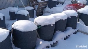 Текстильный горшок из спанбонда и войлочные - сравнен?