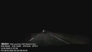 На трассе в Ульяновской области в сторону Самары встречаются ночные сюрпризы.