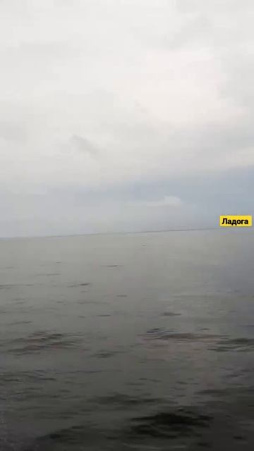 Переход по Ладоге на всепогодном морского внедорожнике Nord Star Patrol - #ладога #story #катера