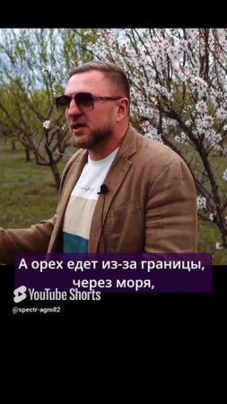 Почему орехи нужно покупать только в скорлупе.