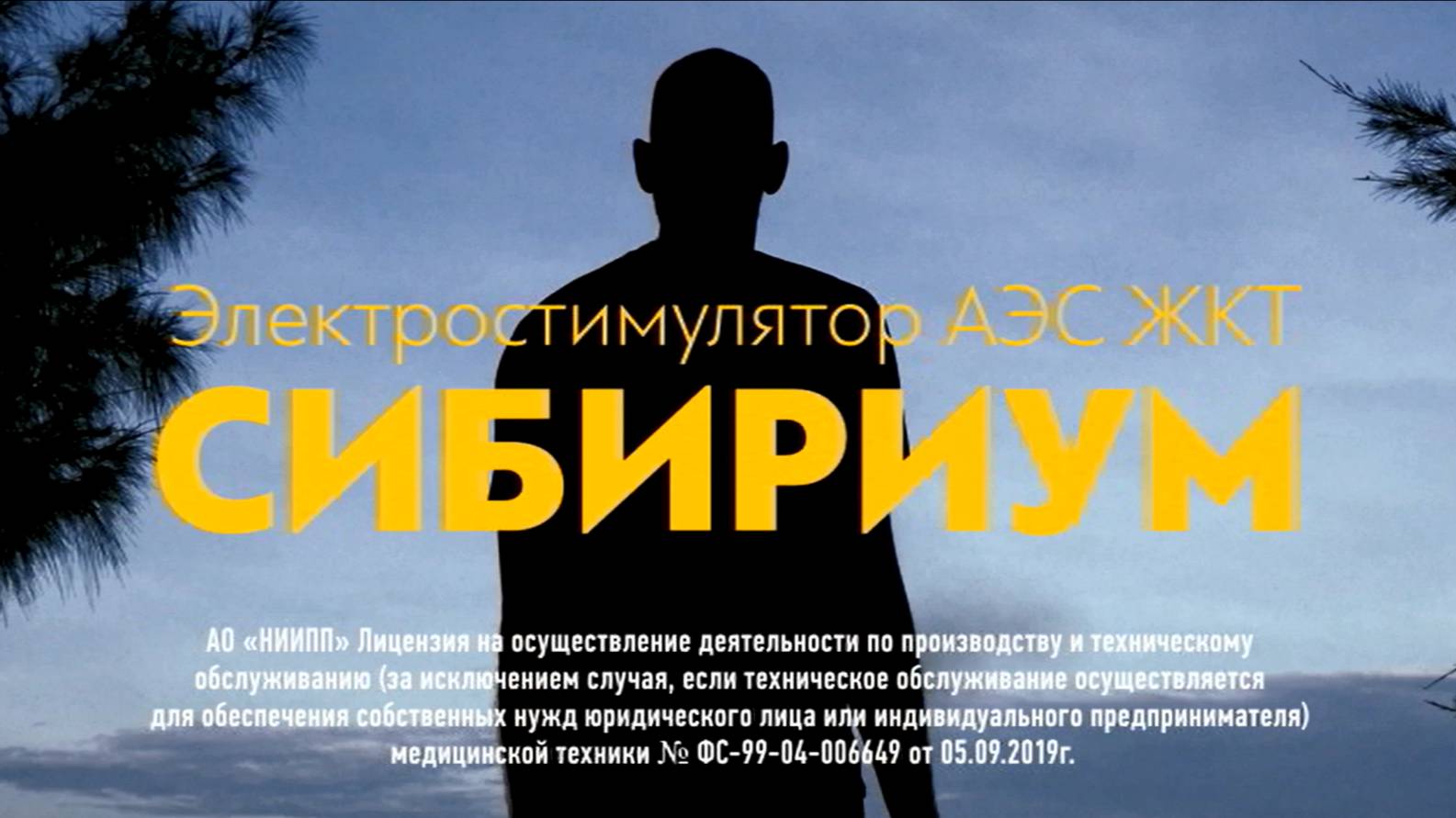 СИБИРИУМ - электростимулятор автономный же­лудочно-кишечного тракта