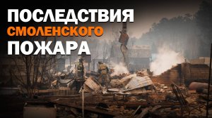 О причинах и последствиях страшного пожара вблизи села Смоленка