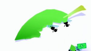 ants eat leaf/муравьи едят лист