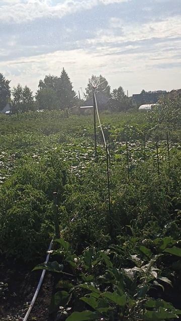 Полив огорода. смотреть онлайн