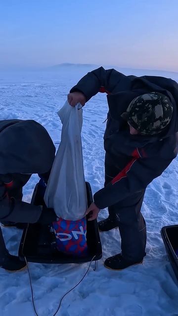 ПОДАРОК РЫБАКУ НА НОВЫЙ ГОД 🥳 смотреть онлайн