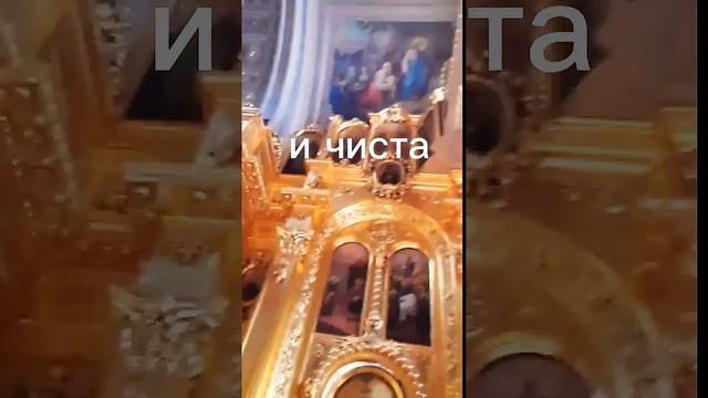 Целительная сила слова. Момент исцеления🙏#целитель #?