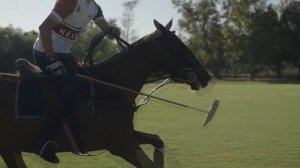 Конное поло. Его история и правила Horse polo. Its history and rules
