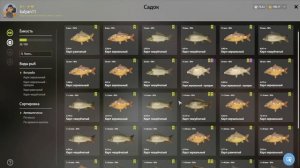 РАЗДАЧА ТРОФЕЙНЫХ КАРПОВ НА ЯНТАРНОМ ОЗЕРЕ В РУССКОЙ РЫБАЛКЕ 4 РР4