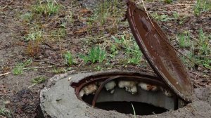 НЕСАНКЦИОНИРОВАННЫЙ СЛИВ ЖБО