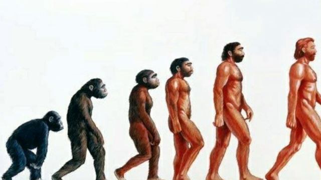 Эволюция мужчины / истории, рассказы, притчи, интересно, бидуин, обезьяна, труд, рост, возраст, топ смотреть онлайн