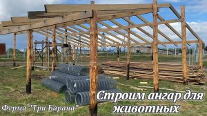 Строим ангар для овец. Третья постройка на ферме .От табуретки до овчарни своими руками
