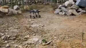 Компания DEEP Robotics анонсировала новую модель четвероногого робота с колесами.#роботы