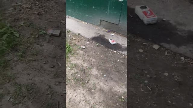 12 июля 2023 г. Метрогородок, уборка дворов ГБУ Жилищник Метрогородок
