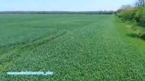 КРАСИВАЯ ПЕСНЯ! ☆ ГРУППА СЕНТЯБРЬ/ВИКТОР ЗАБРОДИН