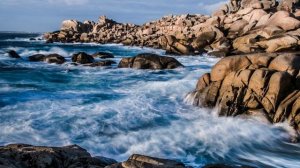 Рядом быть... Из архива Игоря Густиновича