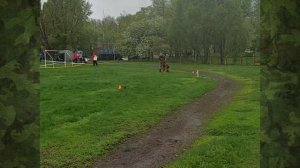 2.  выражено/пож ХУНД ХАУС ТРУБЕЦКОЙ АРЧИБАЛЬД (Xico v. Larchenhain – Zvezdislava Aus Vikwelt)