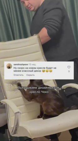 Дизайнерское кресло заказывали?