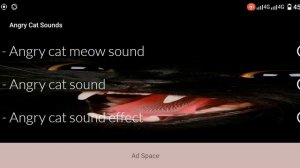 Злые звуки кошки | Angry Cat Sounds