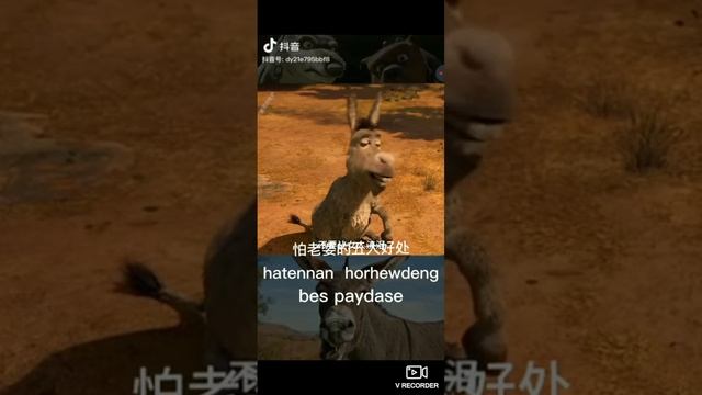 ҚАЗАҚША ПРИКОЛ смотреть онлайн