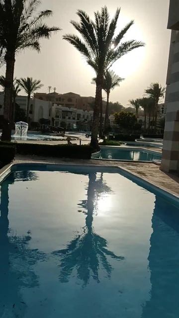 Доброе утро #короткие_видео #отдых #март #египет #каник? смотреть онлайн