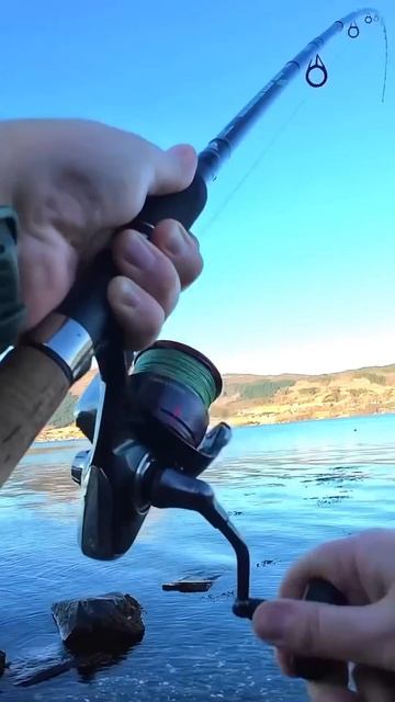 Что-то МОЩНОЕ на Донку с берега… #shorts смотреть онлайн