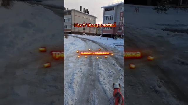 Рак + телец в любви!