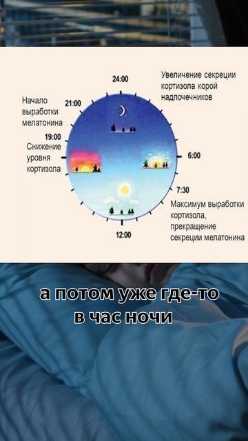 Сон и рост #греков #гормоны #гормонроста #эндокринолог