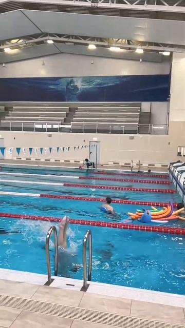 Когда ты - эталон старта #плавание #бассейн #тренировка смотреть онлайн