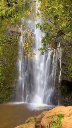 Природа Гавайских островов. Подробнее в телеграмме-https://t.me/turizm100