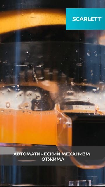 Соковыжималка для цитрусовых SCARLETT SC-JE50C41A смотреть онлайн