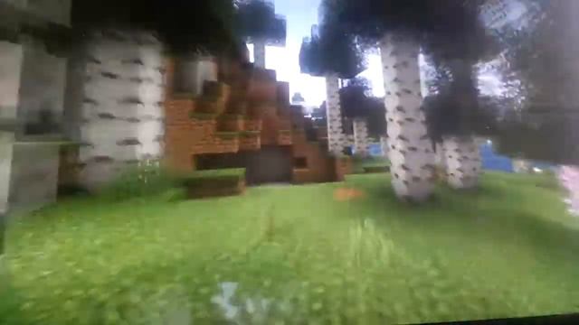 таким берёзы бывают? смотреть онлайн