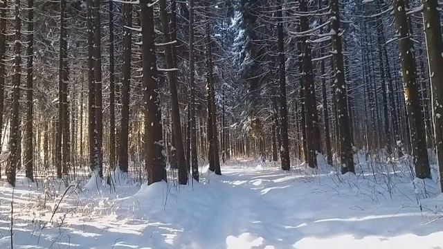 На восьмой день, создал Бог котов.Это был снова понедельник. смотреть онлайн
