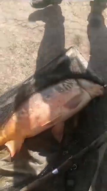 Рыбалка, Белореченск 26.09.2023 смотреть онлайн