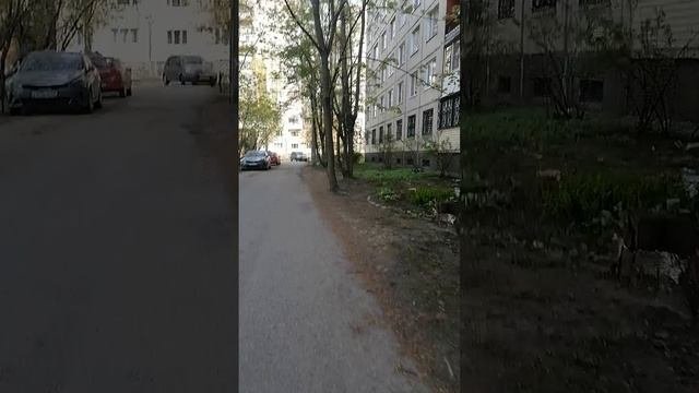 Погода в Санкт-Петербурге Невском районе 14 марта 2025
дворы Огнева