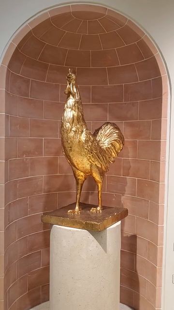 пассаж в Санкт-Петербурге 15.04.25 смотреть онлайн