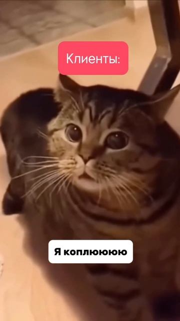 Как купить дом?! смотреть онлайн