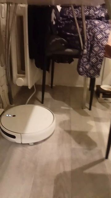 20.09.2023 Общительный робот пылесос смотреть онлайн