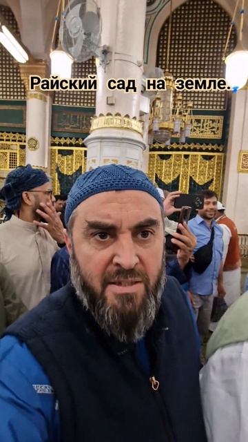 Райский сад на земле. шортс медина