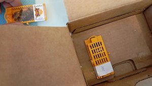 Пришли племенные матки бакфаст на день рождения!