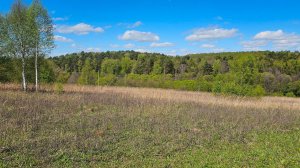 Продажа участка 25 Га (ИЖС) г.о. Ступино,  с. Старая Ситня.