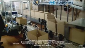 Система формирования коробов и укладки пакетов - автоматизированное конвейерное оборудование