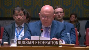 Выступление В.А.Небензи на заседании СБ ООН по гуманитарной ситуации в секторе Газа