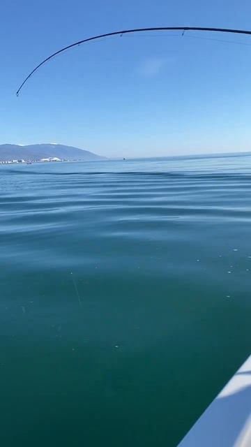 Ставридка. Рыбалка в Сочи. #fishing #сочиморе #рыболовныйг? смотреть онлайн