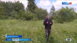 Косилка плющилка навесная КПН-2,4 на Россия-1