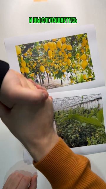 На пальцах: как работает коммерческий займ под залог #s смотреть онлайн